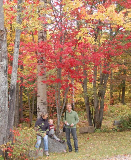 Domaine le Bostonnais - Le Village en Bois Rond La Tuque Extérieur photo