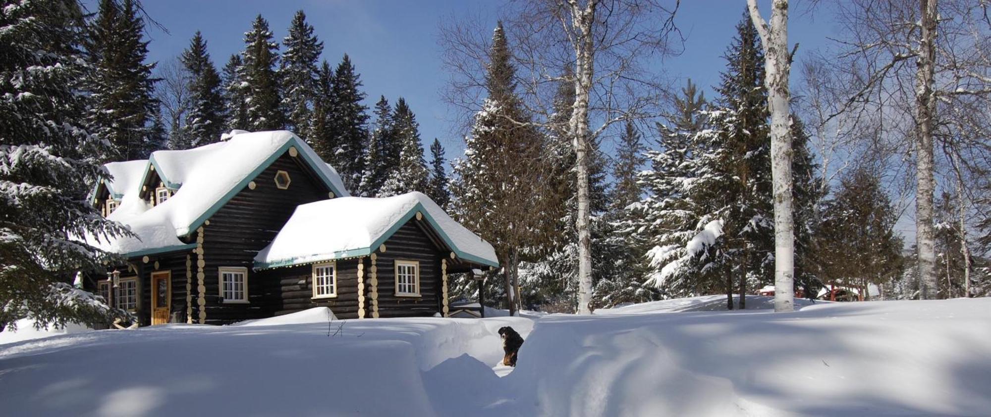 Domaine le Bostonnais - Le Village en Bois Rond La Tuque Extérieur photo