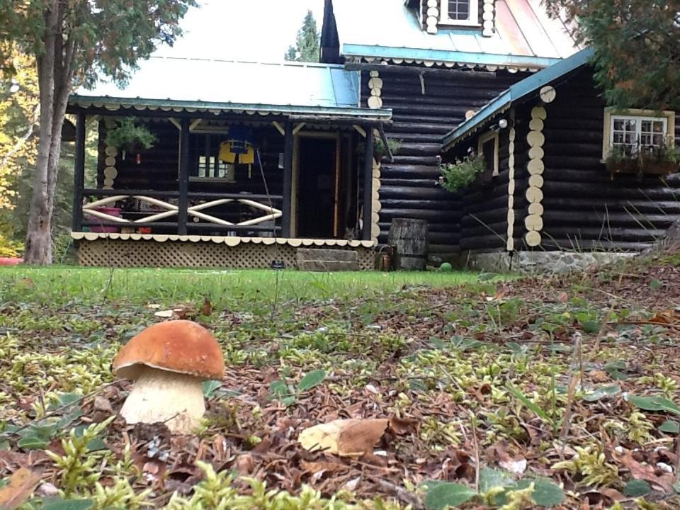 Domaine le Bostonnais - Le Village en Bois Rond La Tuque Extérieur photo