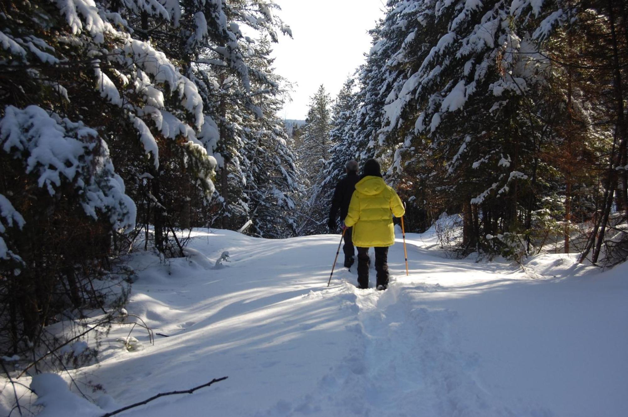 Domaine le Bostonnais - Le Village en Bois Rond La Tuque Extérieur photo